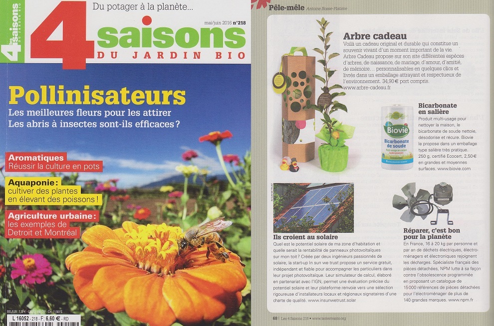 4saisons-arbre-cadeau