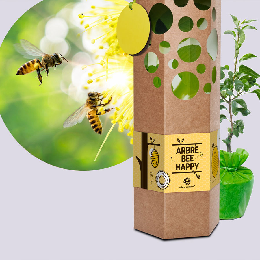 Coffret-cadeau-Bee-Happy
