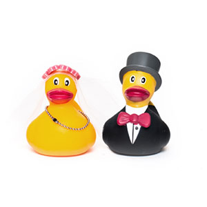 Couple de canards