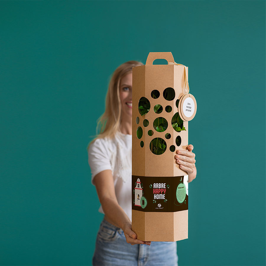 Arbre-Happy-Home-Noisetier-2