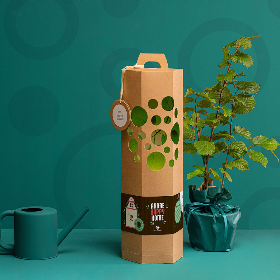 Arbre-Happy-Home-Noisetier-3