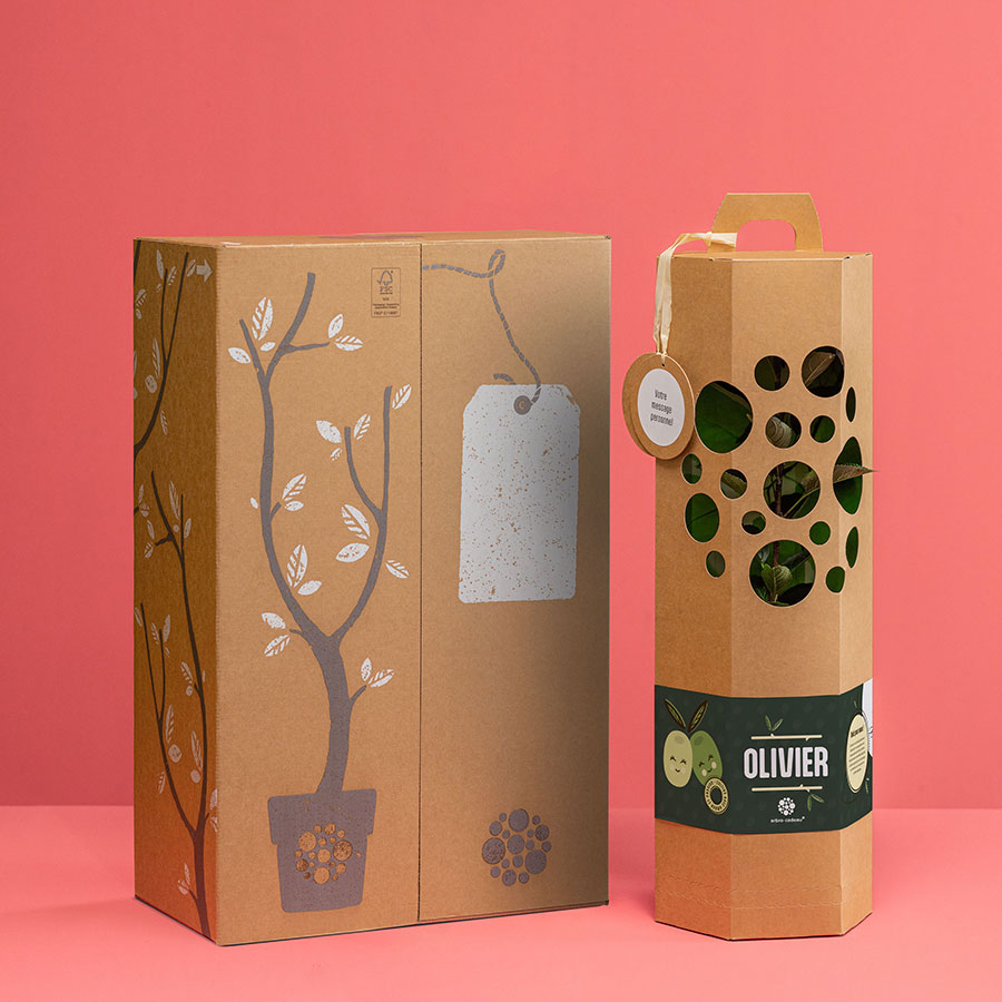 Olivier-Arbre-Cadeau