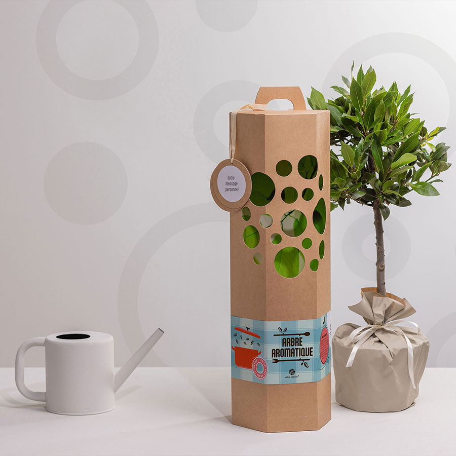 arbre-aromatique--2
