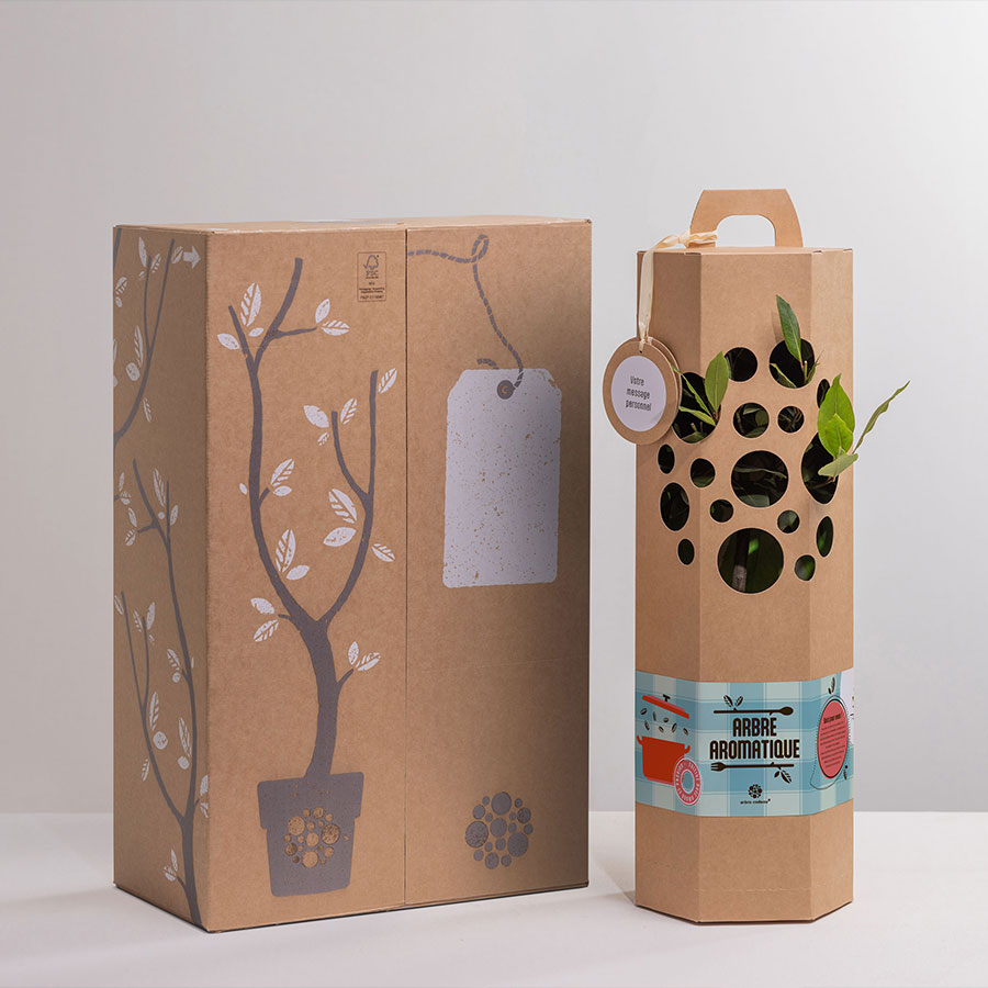 arbre-aromatique--4